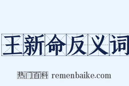 王新命反义词是什么意思的图片